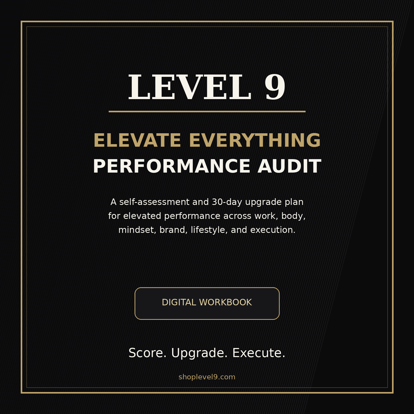 Level 9 Elevate Everything Performance Audit